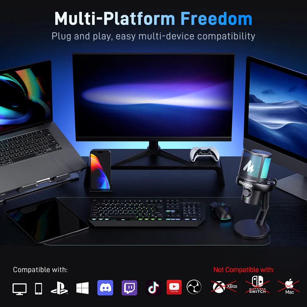 DM40 Condenser Microphone - Image 5